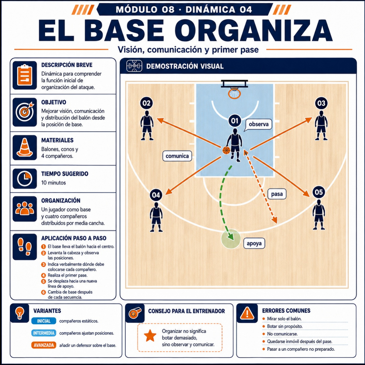 El base organiza