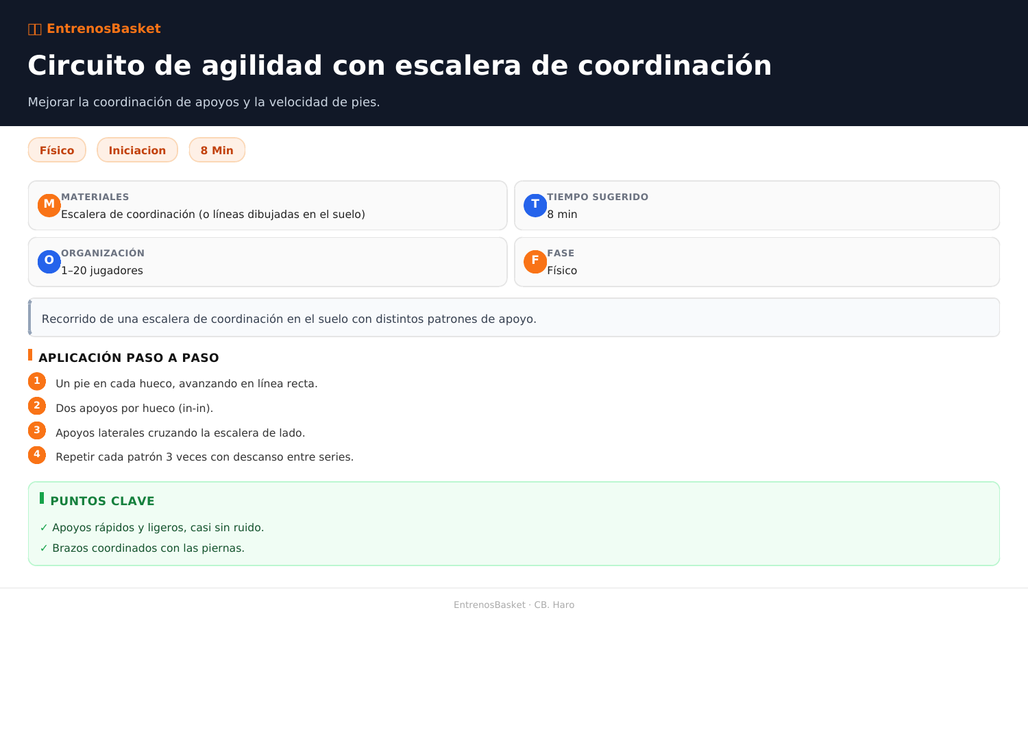 Circuito de agilidad con escalera de coordinación